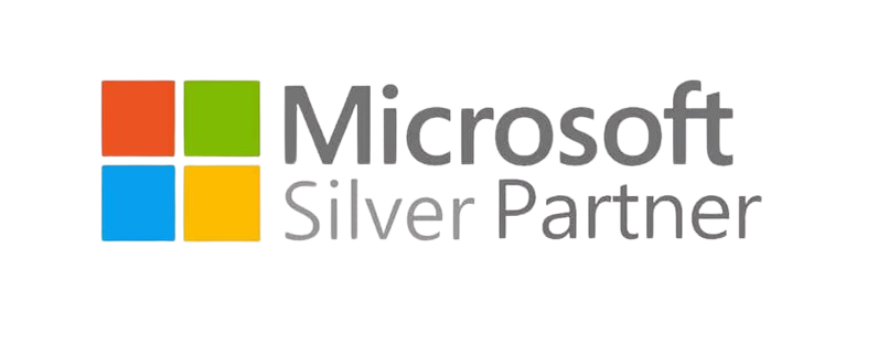 ms silver partner logo removebg preview